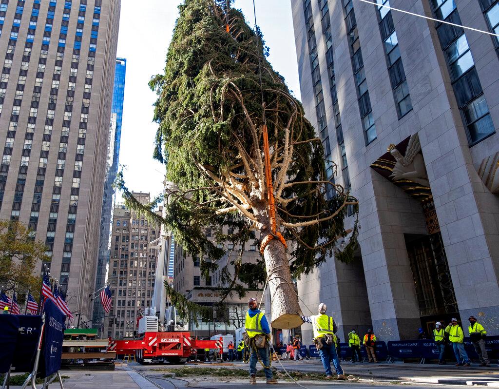 Rockefeller Christmas Tree 