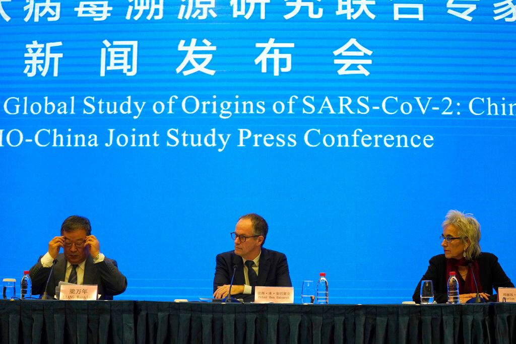WHO Team Press Conference 