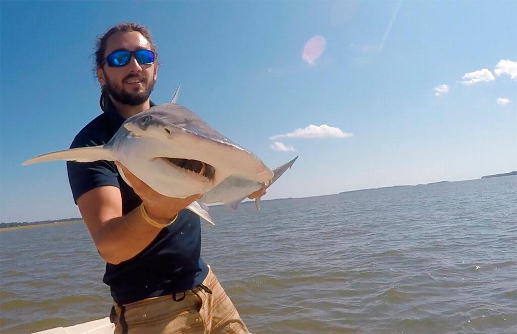 Shark researcher Bryan Keller holding bonnethead shark 