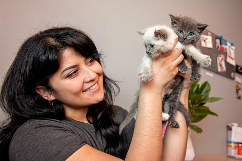 "Toast Taco" Adopted kitten 