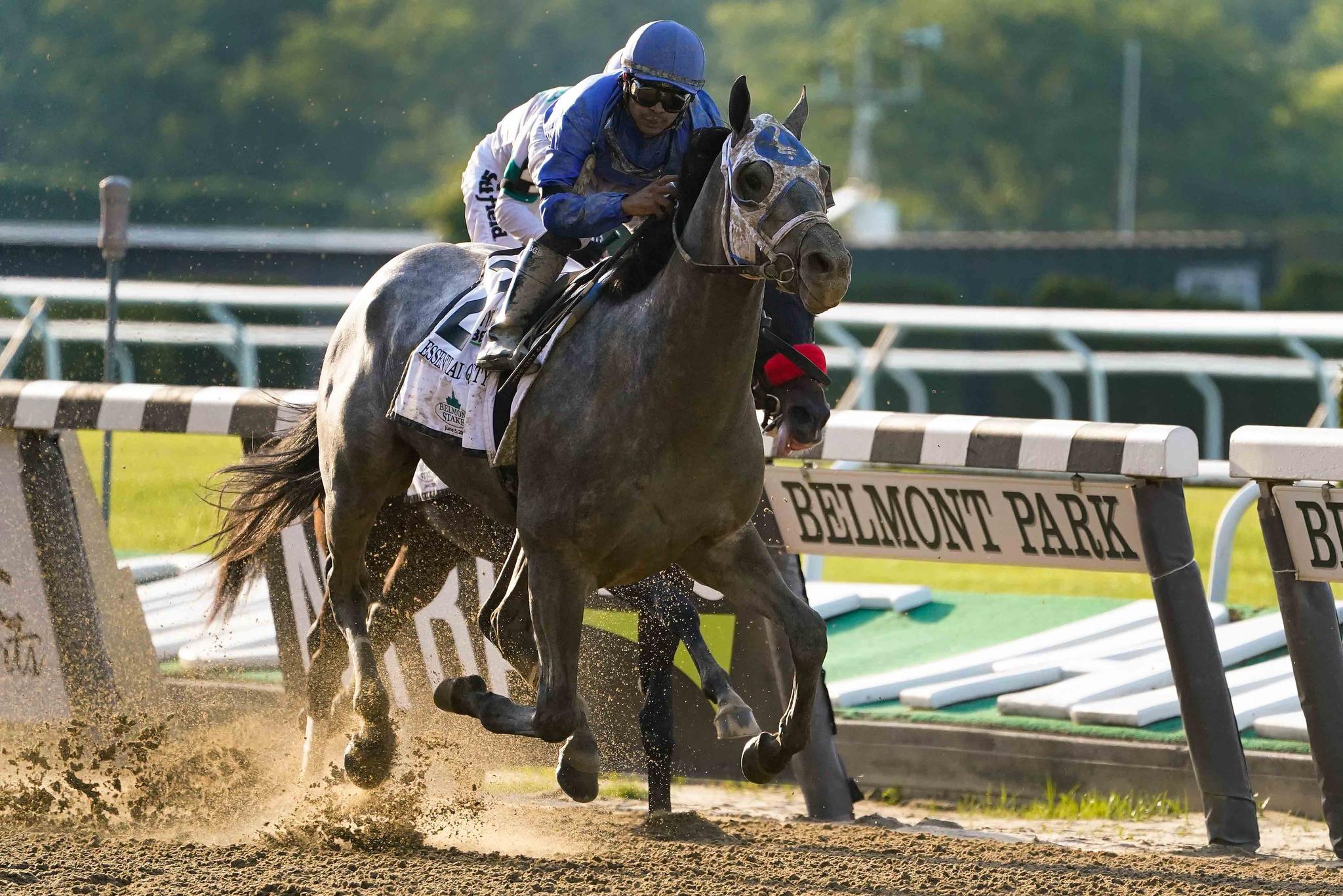 Essential Quality (2), with jockey Luis Saez up, crosses the finish line to win the 153rd running of the Belmont Stakes horse race, Saturday, June 5, 2021, At Belmont Park in Elmont, N.Y.