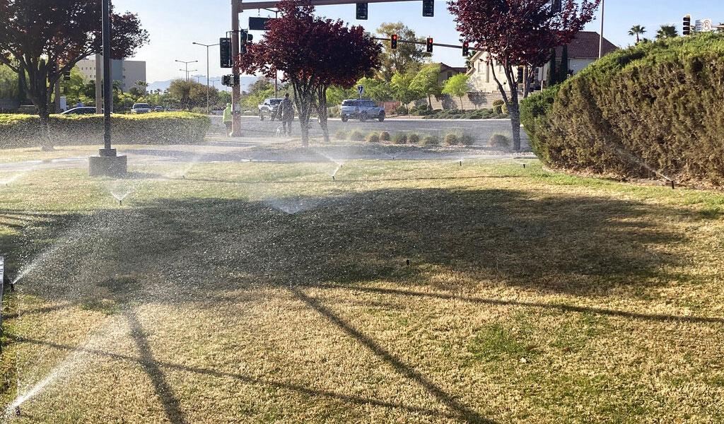 Lawn Watered In Las Vegas