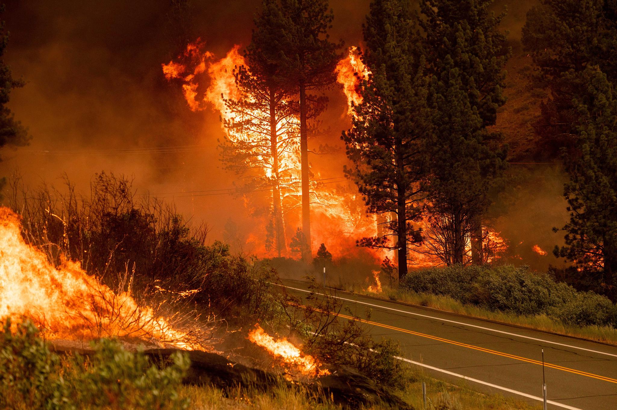 Tamarack Fire near Markleeville, CA