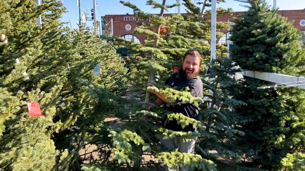 Man carrying Christmas tree