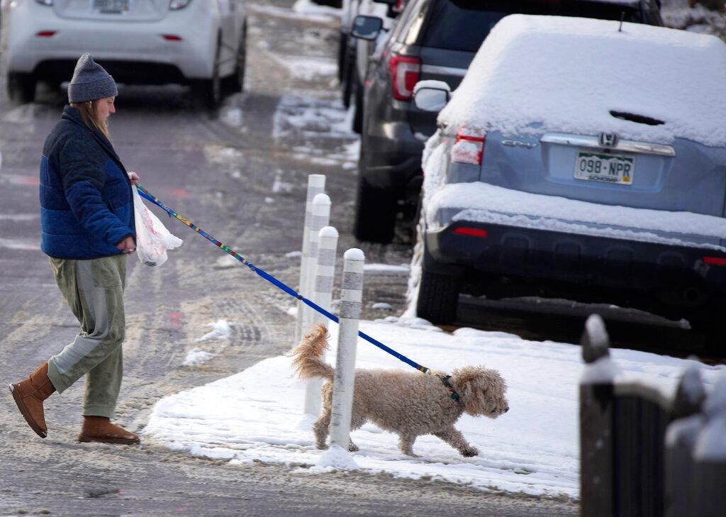 lady walking dog