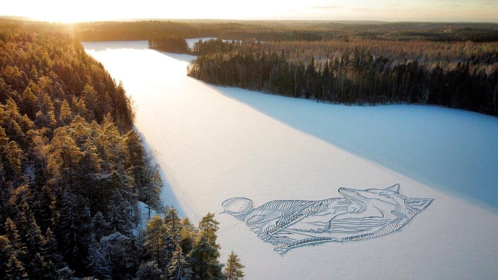 Drawing of fox on frozen lake in Finland 
