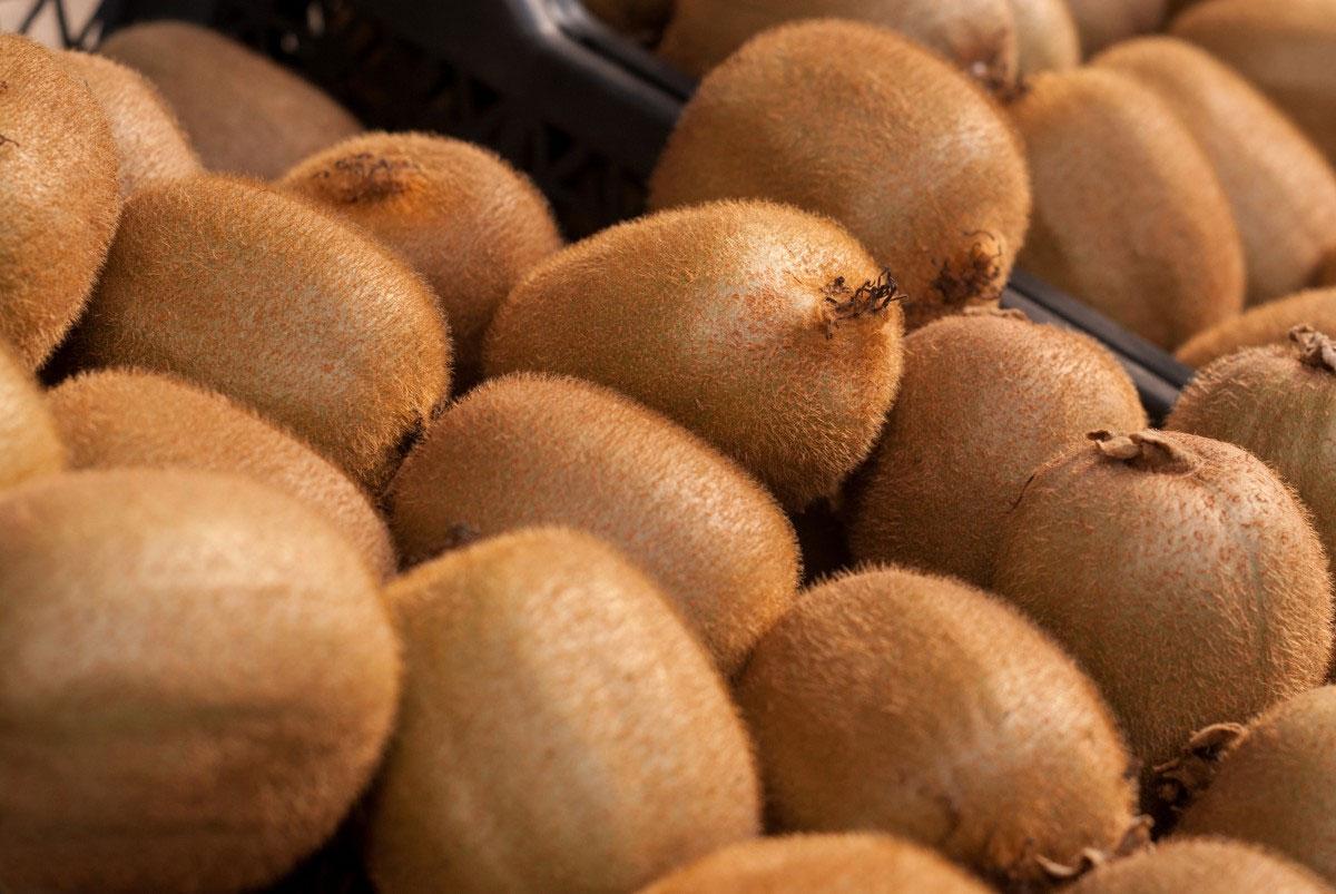 Kiwi Fruit 