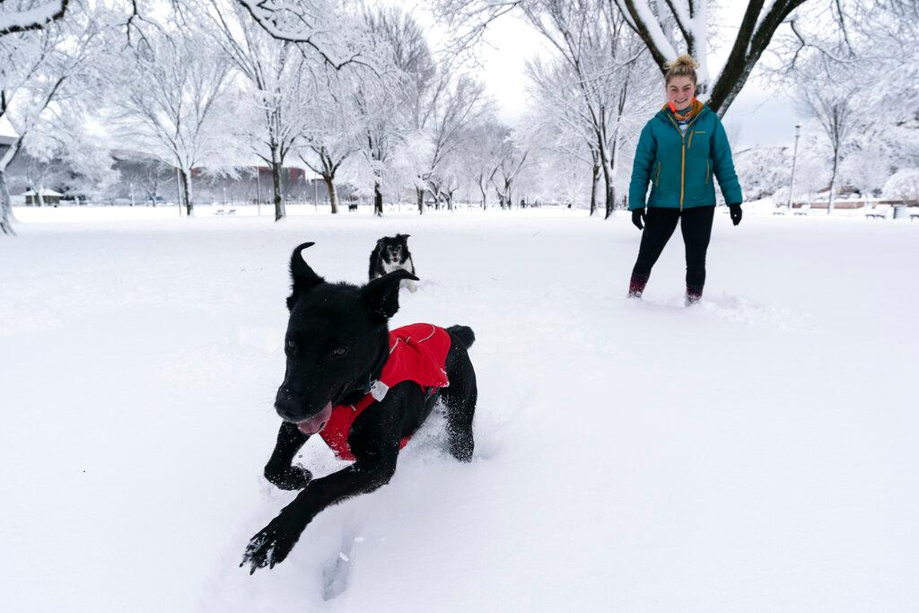 LJ Dawson, from Washington, plays with her dogs Saroo, left, and Jett, on the National Mall in the snow