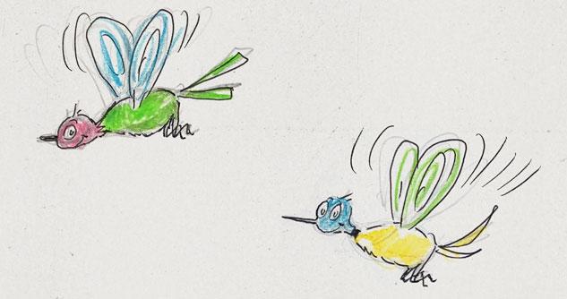Two hummingbird drawings