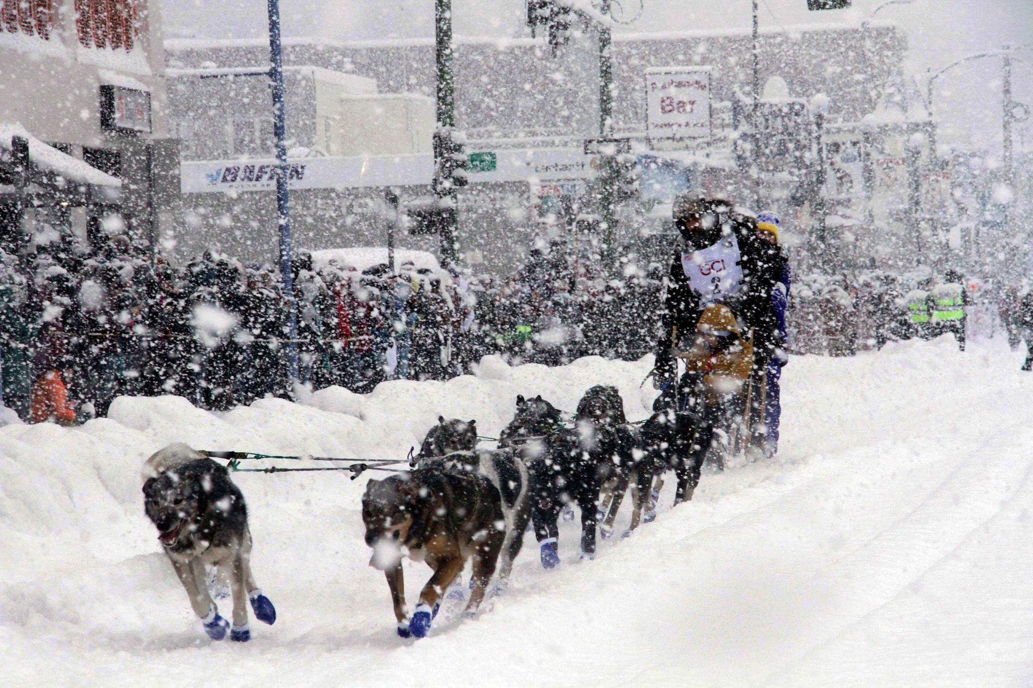 Sean Williams, a rookie musher from Chugiak, Alaska, takes his sled dogs through a snowstorm in downtown Anchorage, Alaska, on Saturday, March 5, 2022, during the ceremonial start of the Iditarod Trail Sled Dog Race.