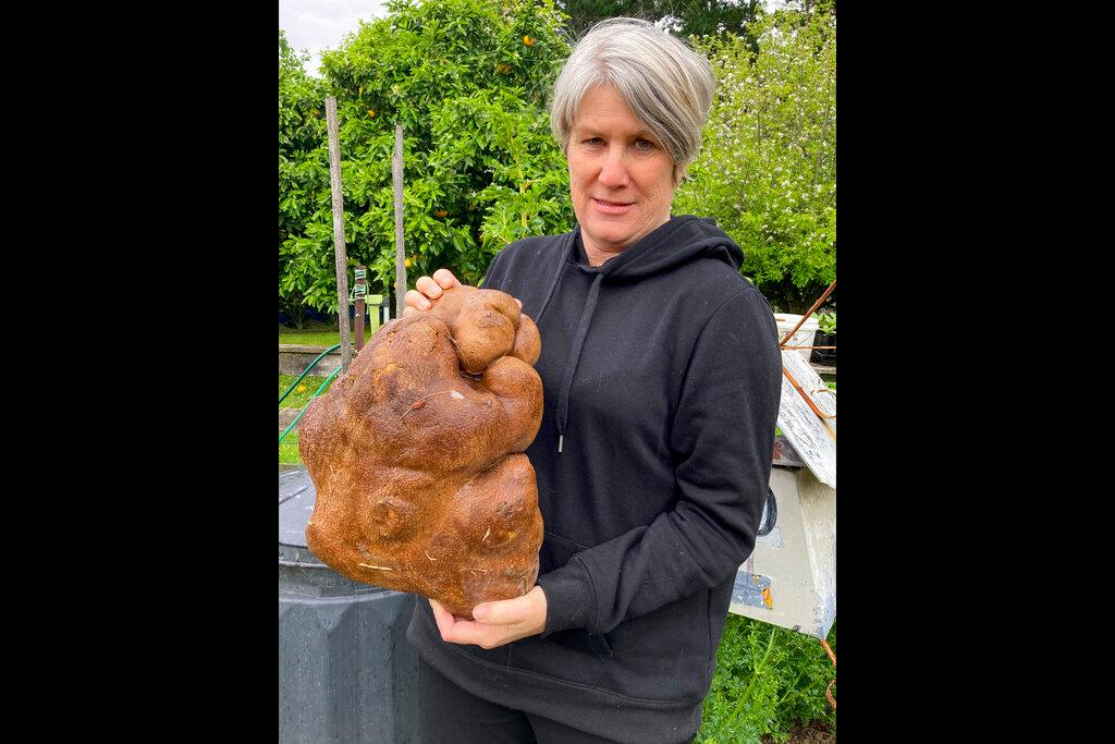Donna Craig-Brown holds what was thought as the worlds largest potato 