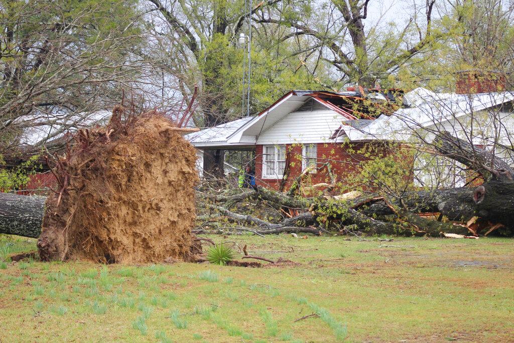 Home damaged by falling tree in Mississippi after severe weather outbreak 