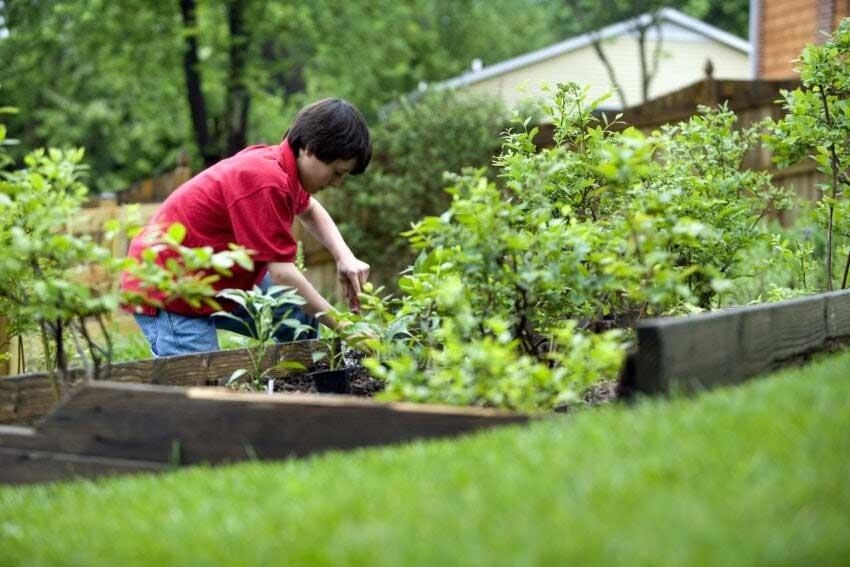 Gardening is good for kids too!