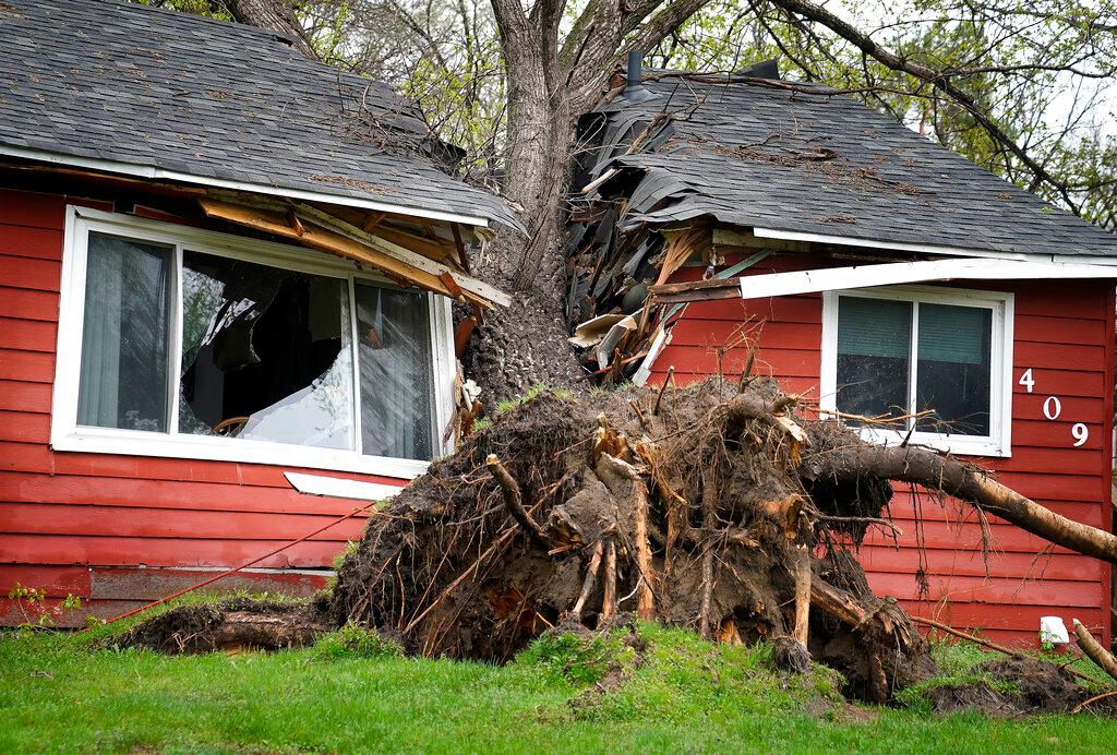 A tree toppled by high winds from an overnight thunderstorm smashed into a house, splitting it in two in Coon Rapids, Minn.