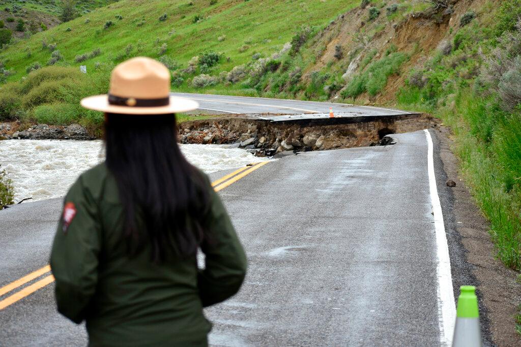 A Yellowstone National Park ranger is seen standing near a road wiped out by flooding