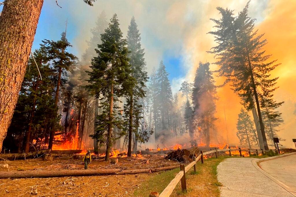 Firefighter walks near the Mariposa Grove as the Washburn Fire burns in Yosemite National Park, Calif.