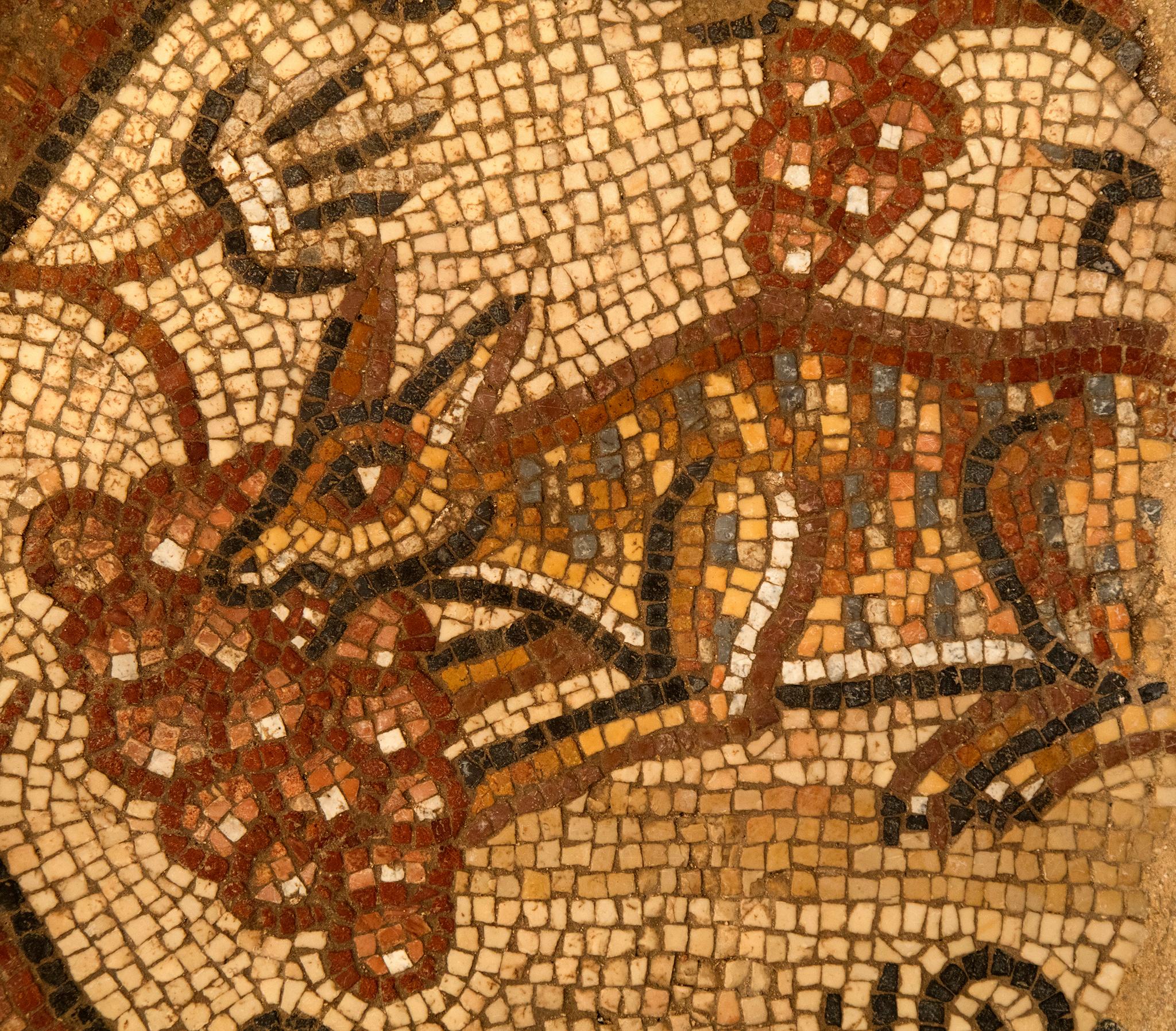 Mosaic depicting a fox eating grapes in the ancient synagogue at Huqoq, Israel