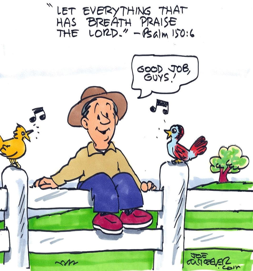 Daily Joe comic