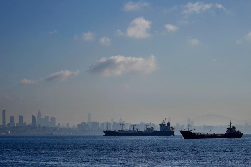 Cargo ships anchored in the Marmara Sea await to cross the Bosphorus Straits in Istanbul, Turkey