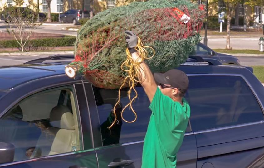 Christmas tree on SUV 