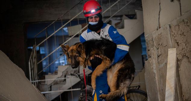 Man in red helmet carrying out a German Shepherd on a leash