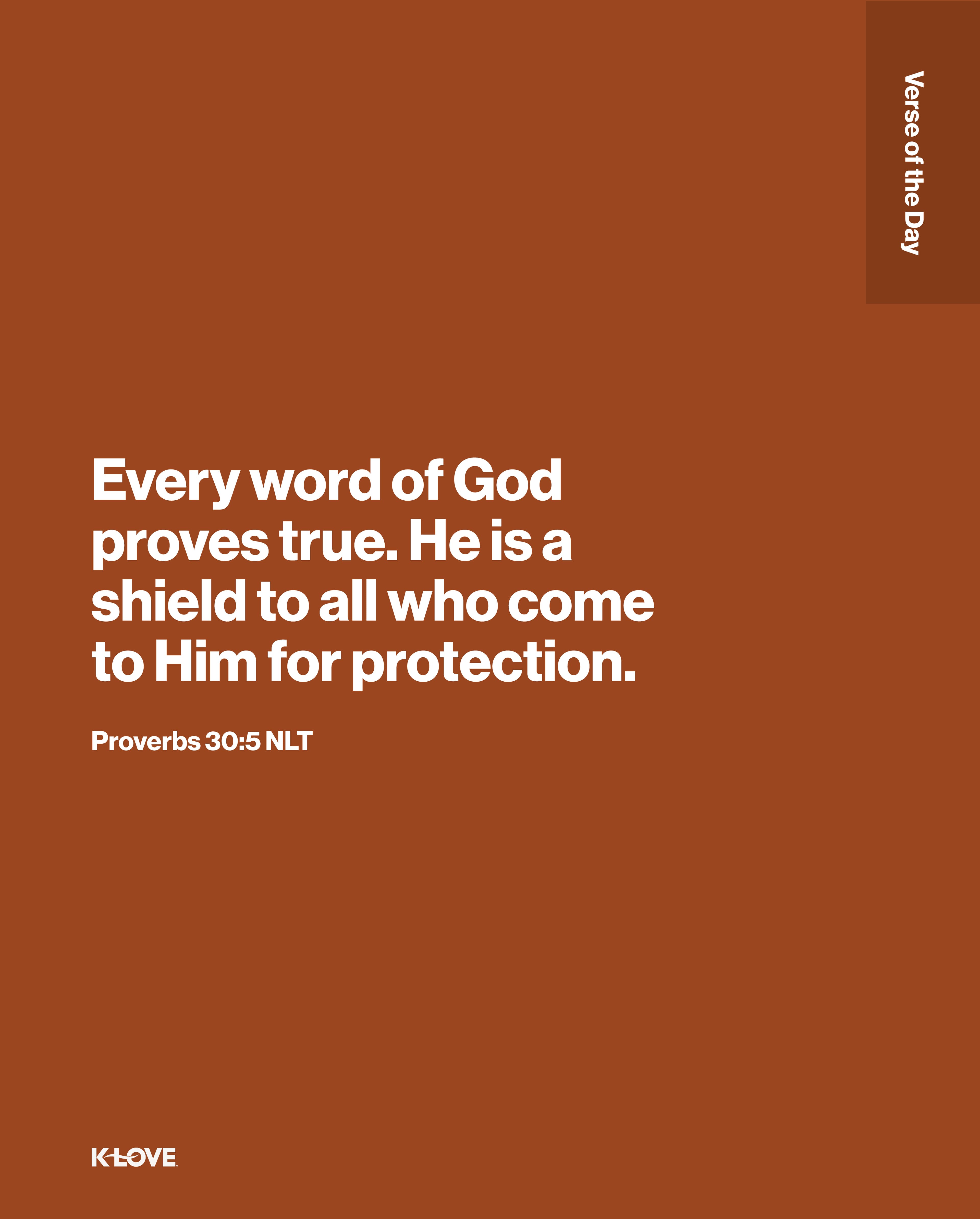 Every word of God proves true. He is a shield to all who come to Him for protection.