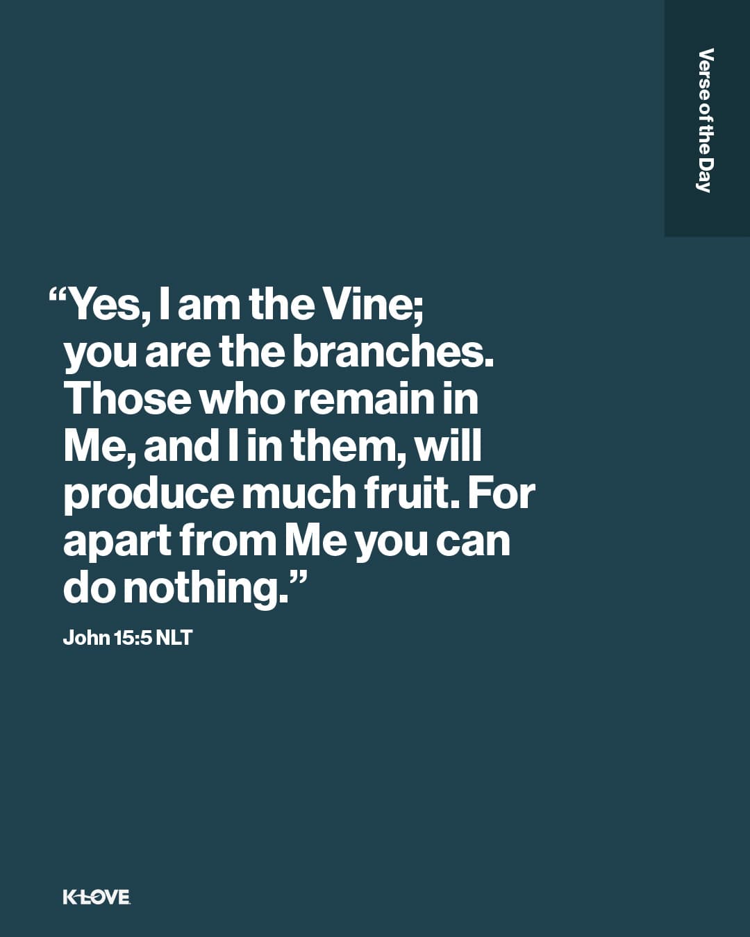 "Yes, I am the Vine; you are the branches. Those who remain in Me, and I in them, will produce much fruit. For apart from Me you can do nothing."
