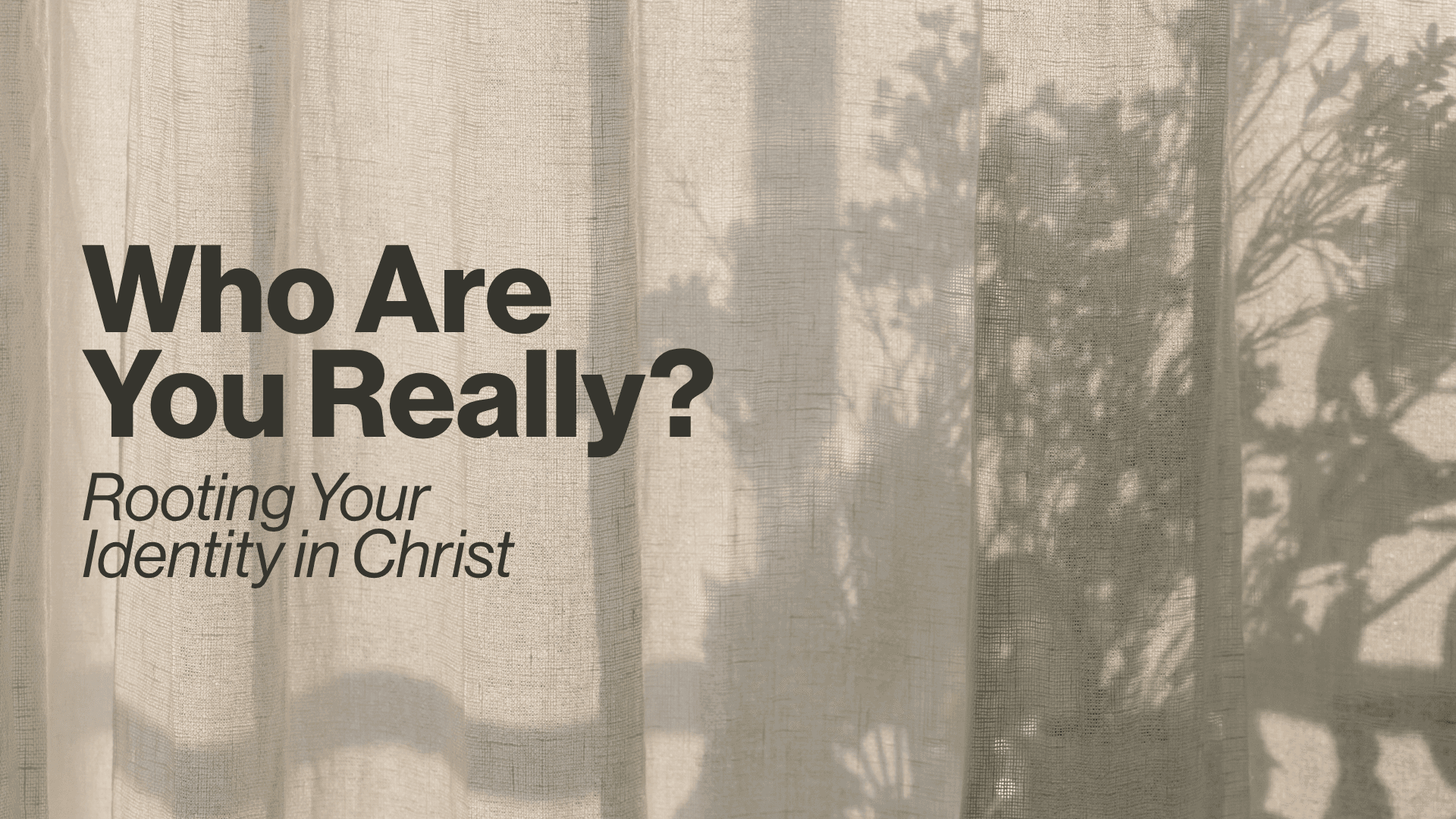 Who Are You Really?: Rooting Your Identity in Christ Image