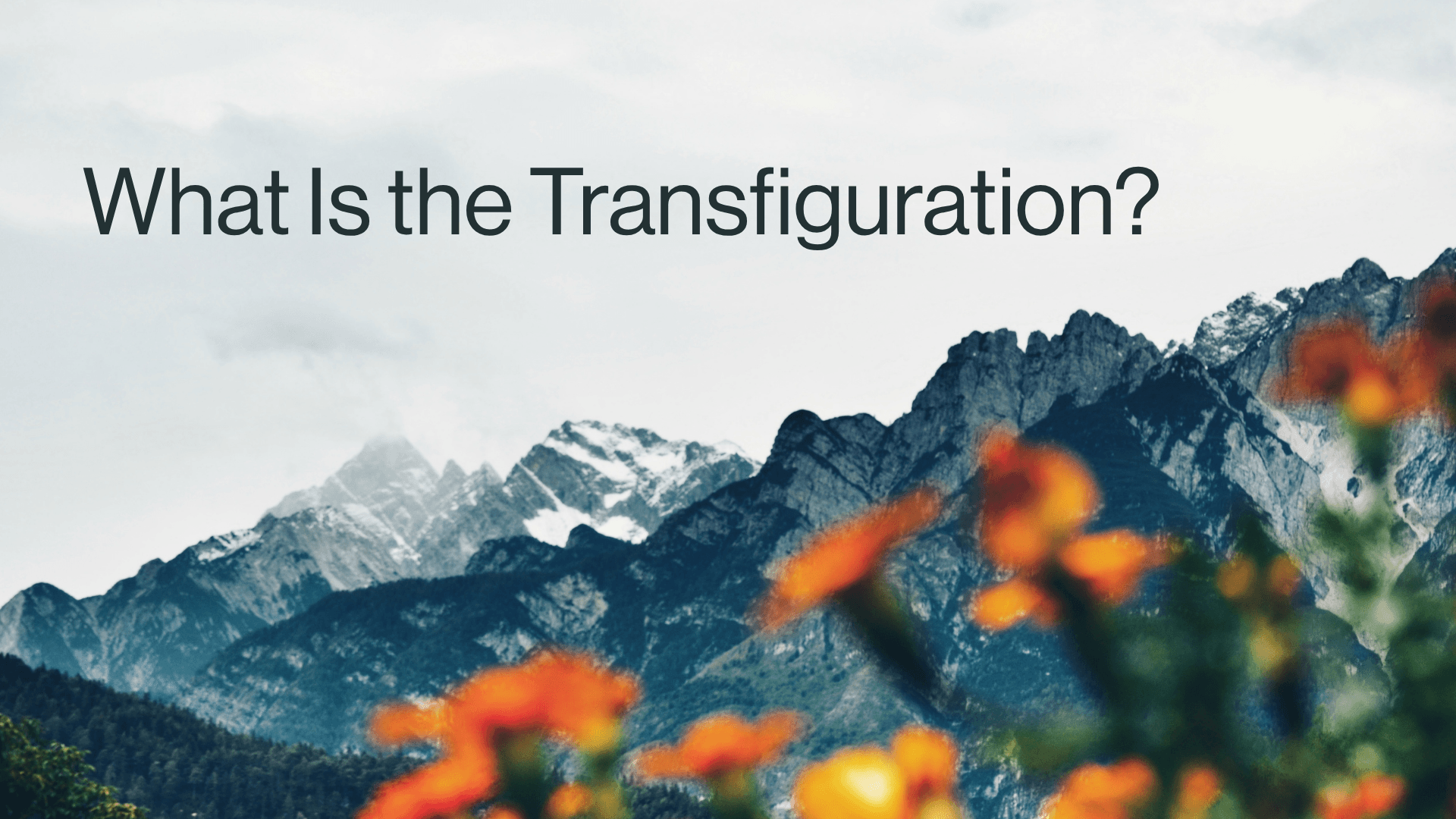 What Is the Transfiguration? Image