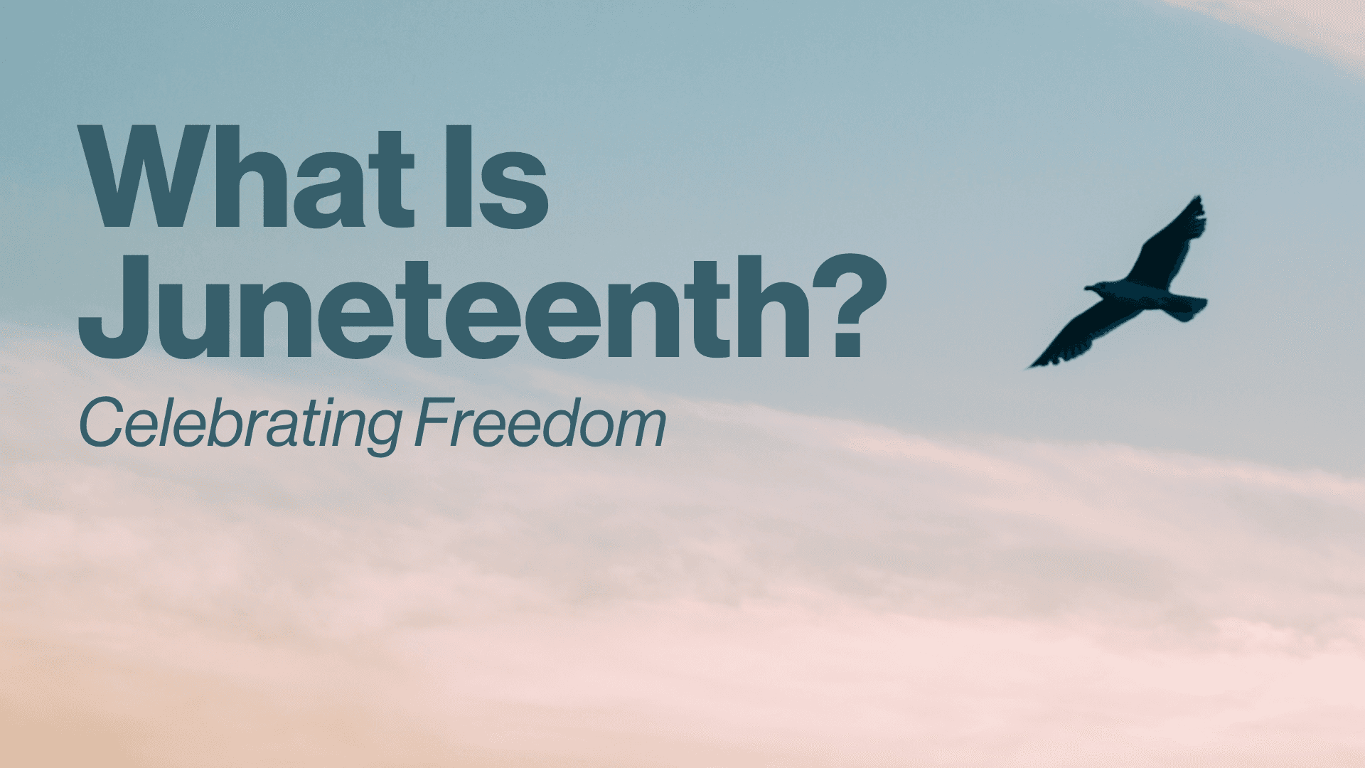 What Is Juneteenth?: Celebrating Freedom Image