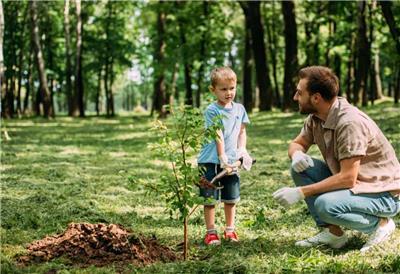 Here are seven fun activities for families to celebrate Arbor Day and teach kids about its significance