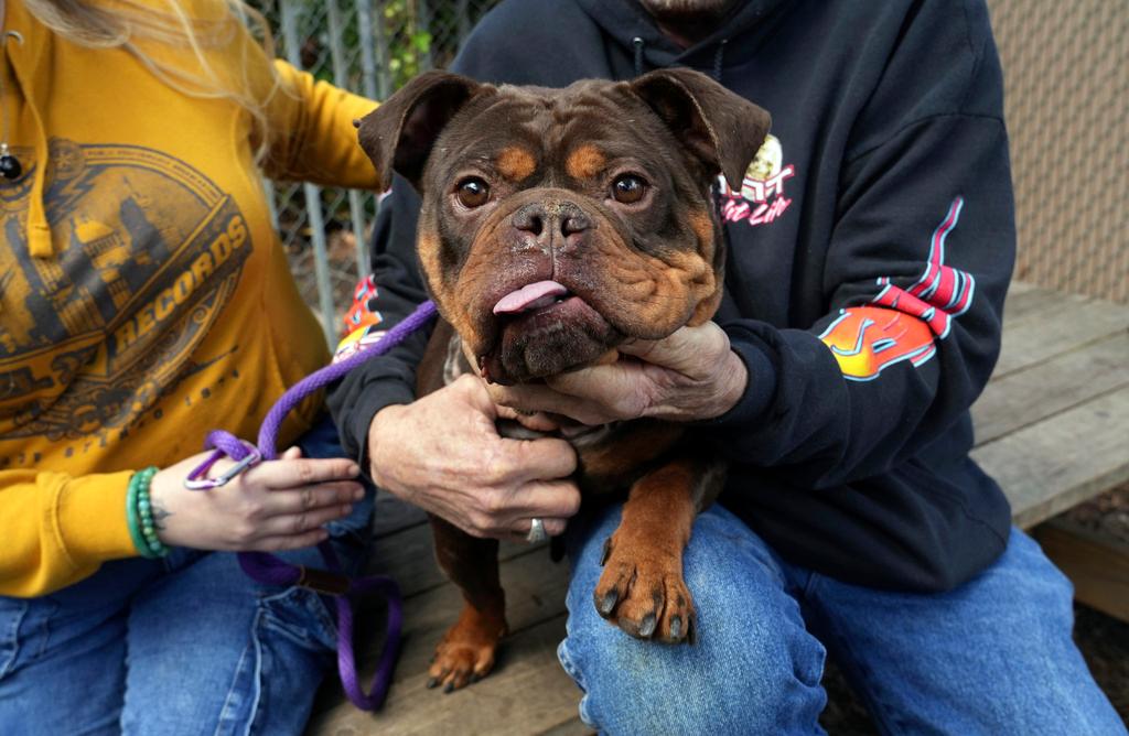 A newly adopted dog is held at Oakland Animal Services on Thursday, April 4, 2024, in Oakland, Calif.