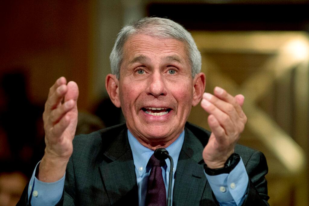 National Institute for Allergy and Infectious Diseases Director Dr. Anthony Fauci testifies before a Senate hearing on the coronavirus