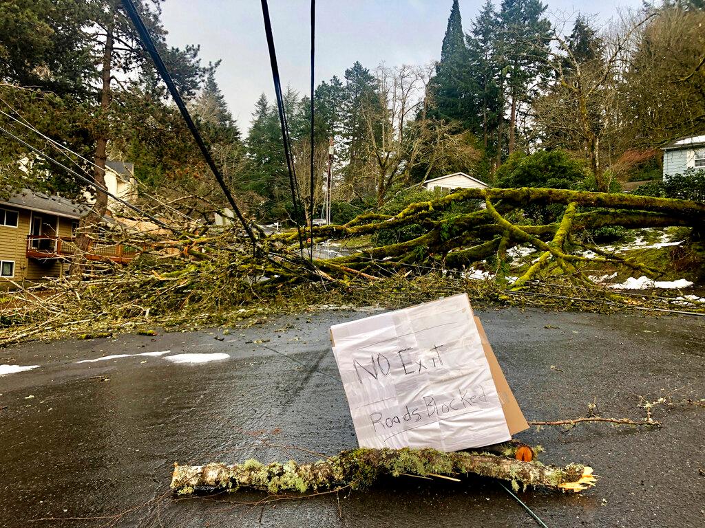A large tree downed in an ice storm sits atop power lines in Lake Oswego, Ore. Nearly 150,000 customers lost power.
