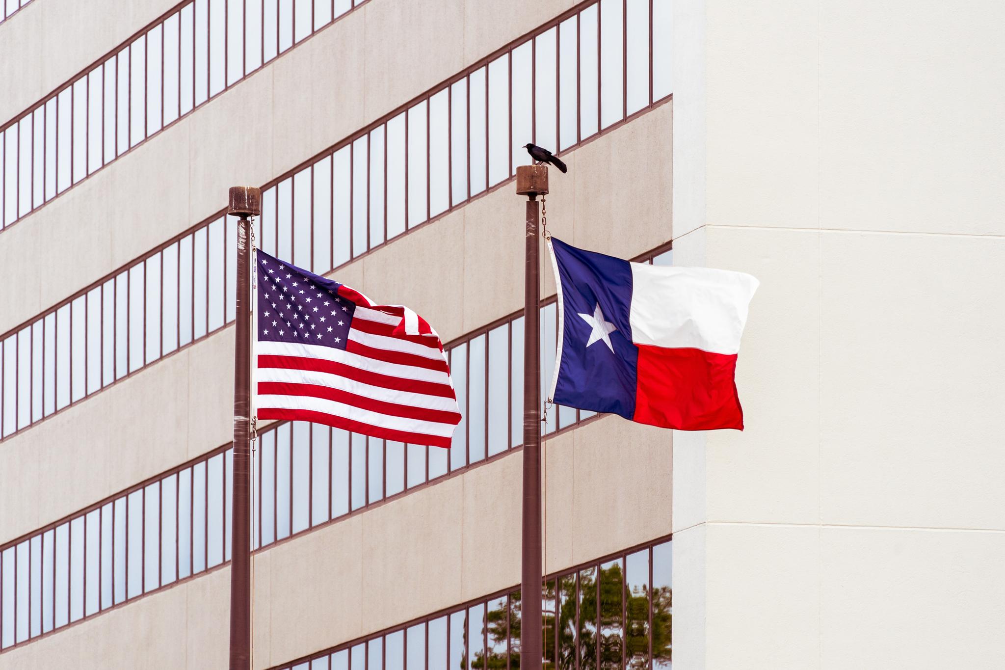 American Texas flag flags