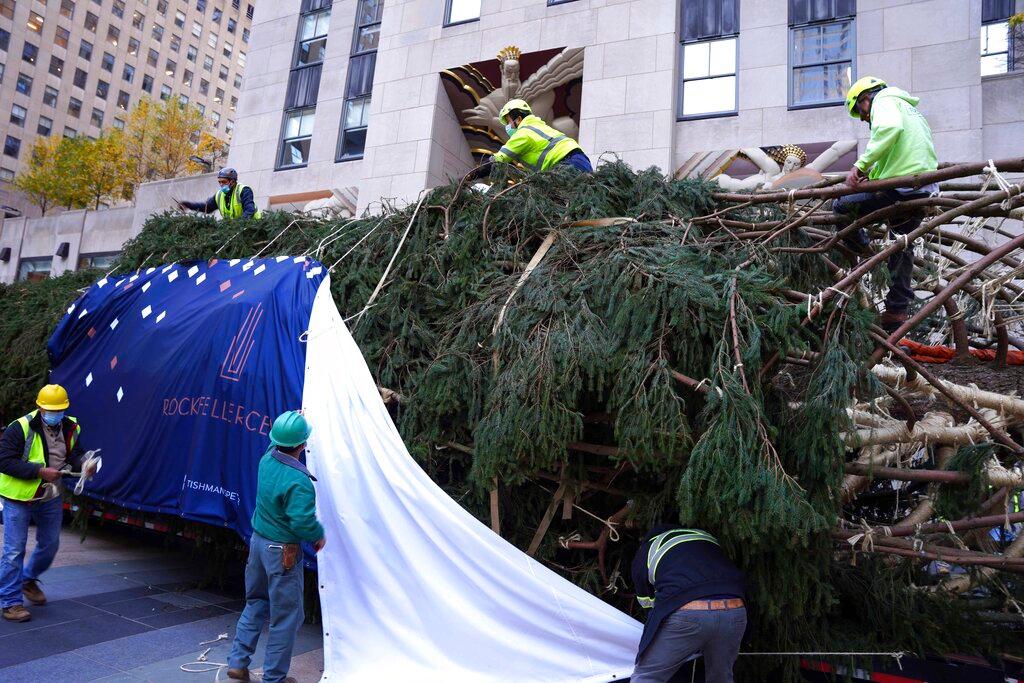 The 79-foot tall Rockefeller Center Christmas Tree arrives from Elkton, Md., is removed onto Rockefeller Plaza from a flatbed truck, Saturday, Nov. 13, 2021, in New York. The Rockefeller Center Christmas Tree Lighting Ceremony will take place on Wednesday, Dec. 1.