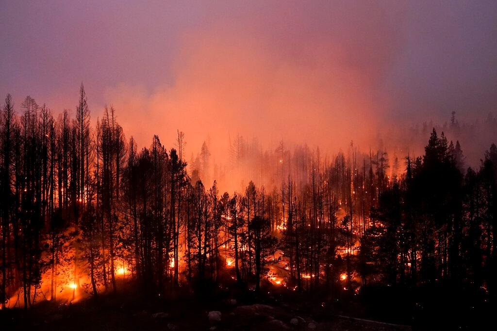 Trees scorched by the Caldor Fire smolder in the Eldorado National Forest