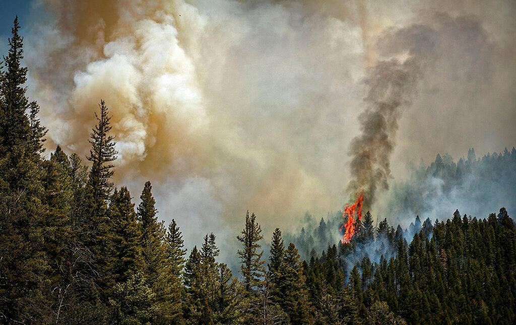 Fire rages along a ridgeline east of highway 518 near the Taos County line in New Mexico