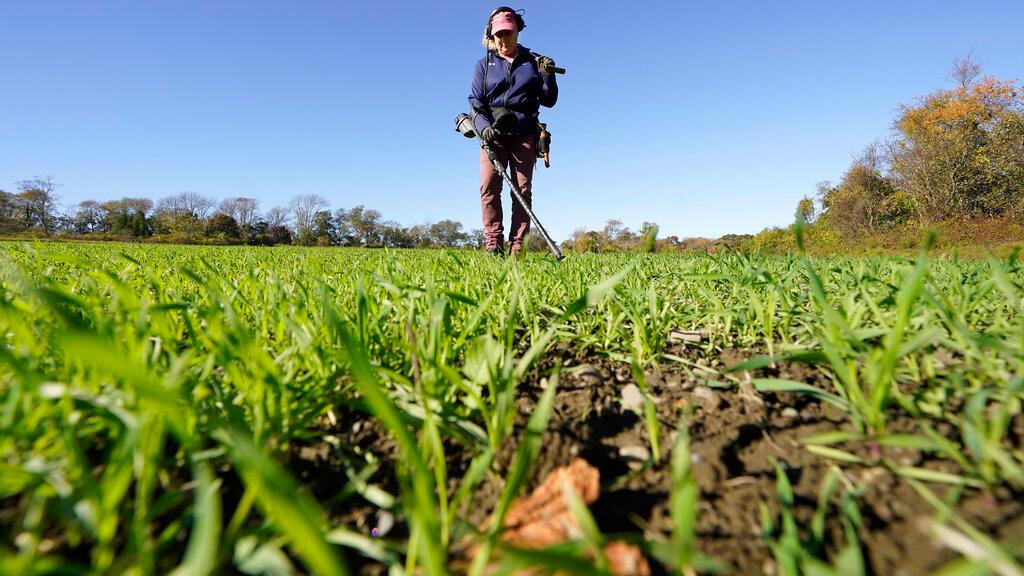 Metal detectorist Denise Schoener, of Hanson, Mass., searches for historic coins and artifacts in a farm field in Little Compton, R.I.