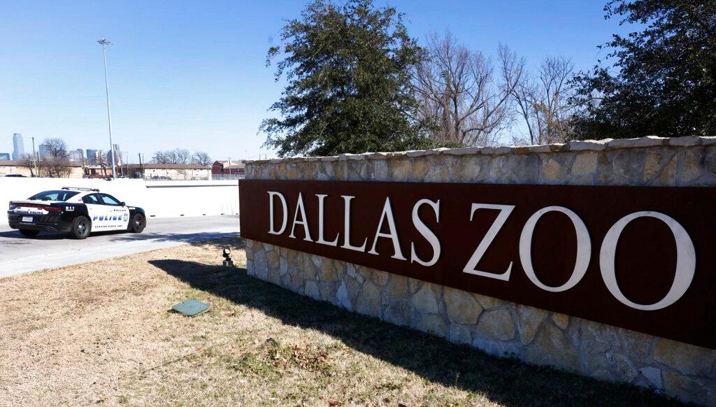 A Dallas police vehicle sits at an entrance at the Dallas Zoo, Jan. 13, 2023.