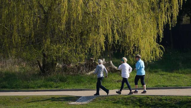Three people walking in a park