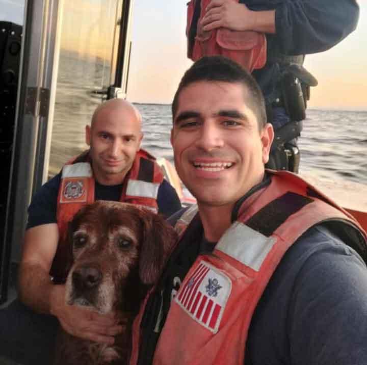 Dog rescued by Coast Guard